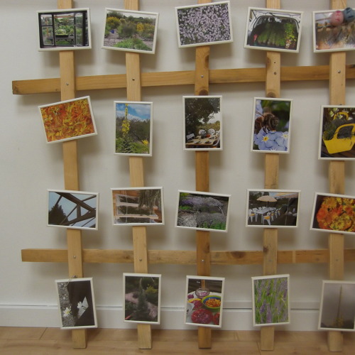 Anlässlich des Beginns der Arbeiten am Projektgarten "Hildegard von Bingen" gibt es zum 10 jährigen Jubiläum eine Fotoausstellung